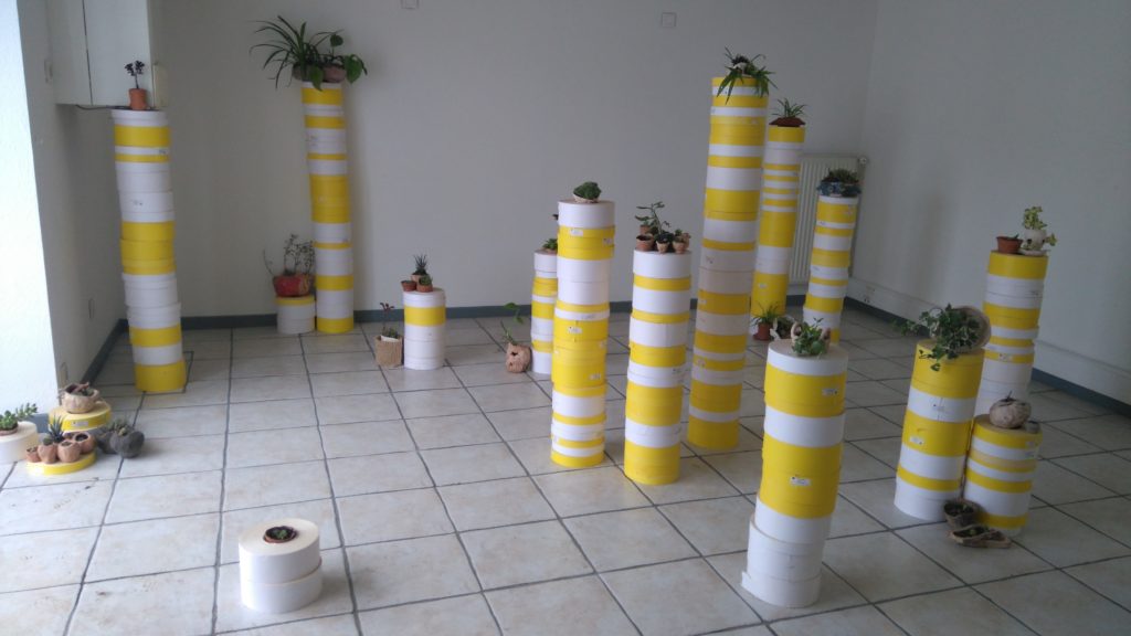 modèle de développement. Installation. Végétaux sur des colonnes.